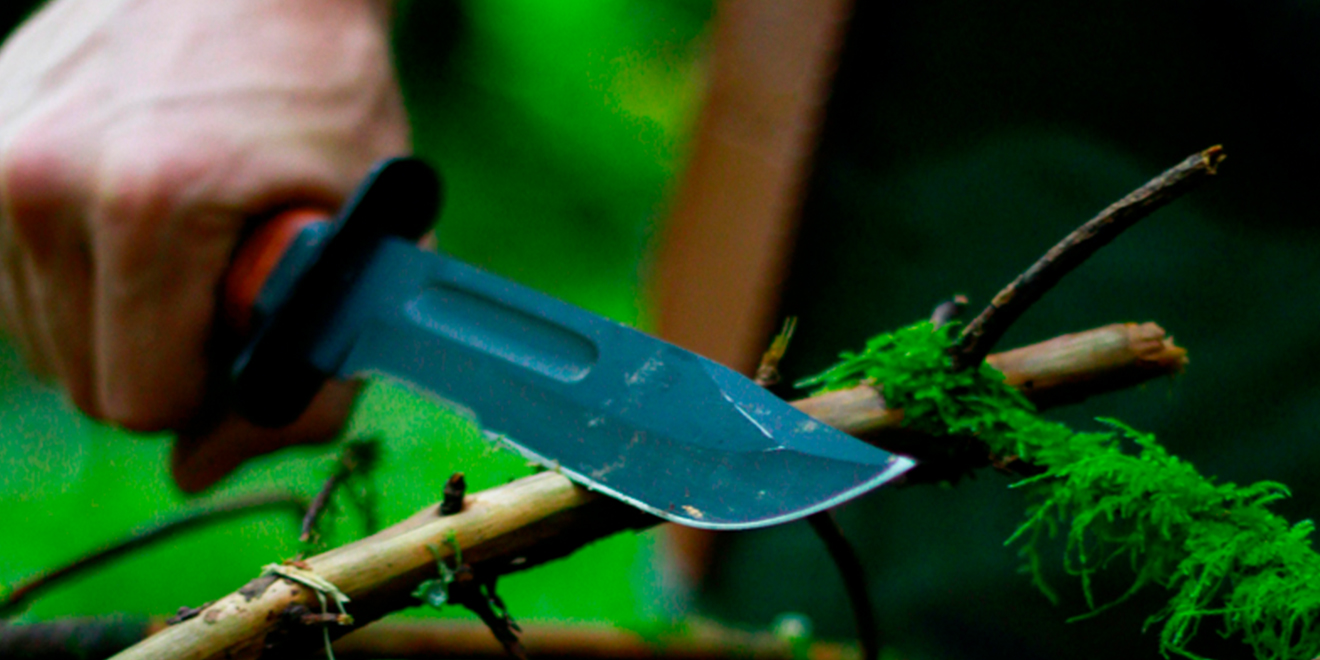 Ofertas de la semana